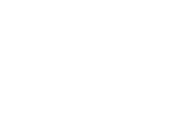 BLI Systems Limited