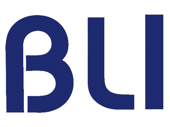 BLI Systems Limited